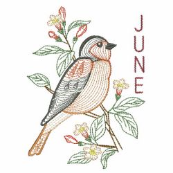 12 Months of Birds 06(Lg) machine embroidery designs