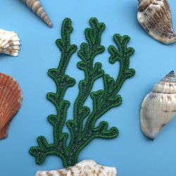 FSL Underwater Coral 06