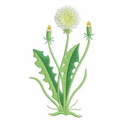 Dandelion 03 machine embroidery designs