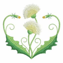 Dandelion 06