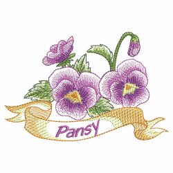 Pansy Beauty 10(Lg)