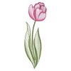 Rippled Tulips(Sm)