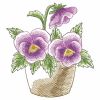 Pansy Beauty 03(Sm)