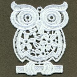 FSL Owls 07