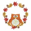 Autumn Owls 06