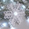 FSL Christmas Snowflake Lights 09