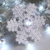 FSL Christmas Snowflake Lights 10