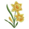 Daffodils 2 01