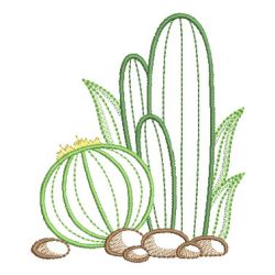 Cactus 2 03