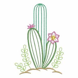 Cactus 2 06