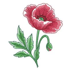 Watercolor Blooms 08(Lg) machine embroidery designs