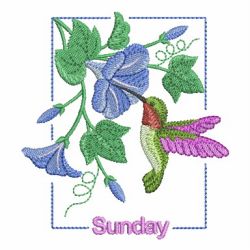 Days Of The Week Hummingbirds(Lg) machine embroidery designs