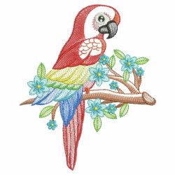 Cute Parrots 2 02(Md) machine embroidery designs