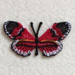 FSL Butterfly 2 04 machine embroidery designs