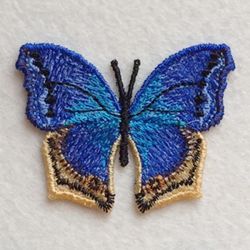 FSL Butterfly 2 06 machine embroidery designs
