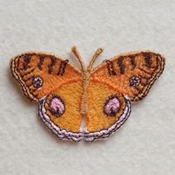 FSL Butterfly 2 07 machine embroidery designs