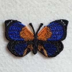 FSL Butterfly 2 11 machine embroidery designs