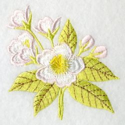 Arkansas Bird And Flower machine embroidery designs