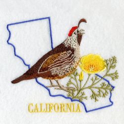 California Bird And Flower 05