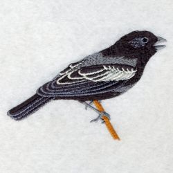 Colorado Bird And Flower 02 machine embroidery designs