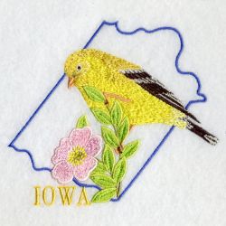 Iowa Bird And Flower 05 machine embroidery designs