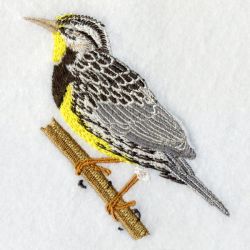 Kansas Bird And Flower 02 machine embroidery designs