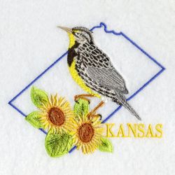 Kansas Bird And Flower 05
