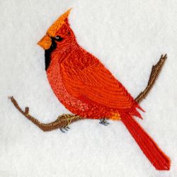 Kentucky Bird And Flower 02 machine embroidery designs