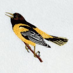 Maryland Bird And Flower 02 machine embroidery designs