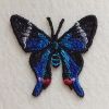 FSL Butterfly 2 03
