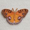 FSL Butterfly 2 07