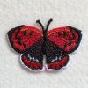 FSL Butterfly 2 08