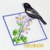 Colorado Bird And Flower 05