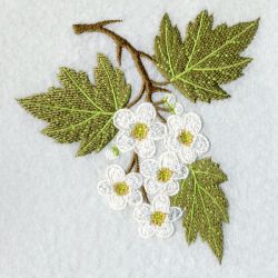 Missouri Bird And Flower machine embroidery designs