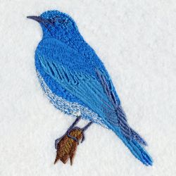 Missouri Bird And Flower 02 machine embroidery designs