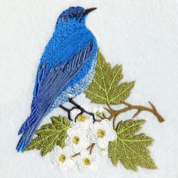 Missouri Bird And Flower 03 machine embroidery designs