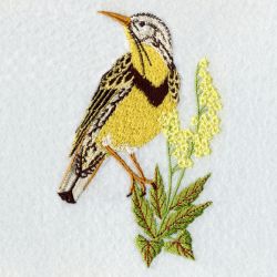Nebraska Bird And Flower 03 machine embroidery designs