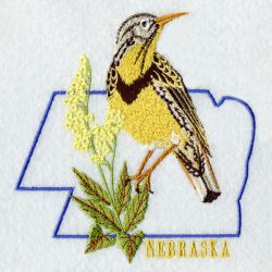 Nebraska Bird And Flower 05