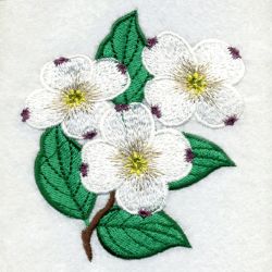 North Carolina Bird And Flower 01 machine embroidery designs