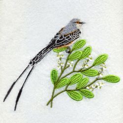 Oklahoma Bird And Flower 03 machine embroidery designs