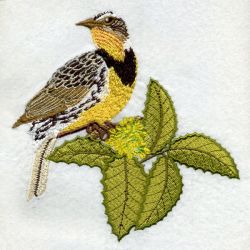 Oregon Bird And Flower 03 machine embroidery designs