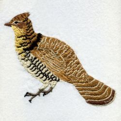Pennsylvania Bird And Flower 02 machine embroidery designs