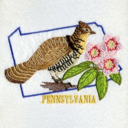 Pennsylvania Bird And Flower 05