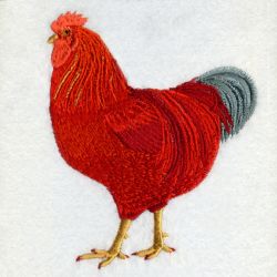 Rhode Island Bird And Flower 02 machine embroidery designs