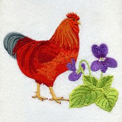 Rhode Island Bird And Flower 03 machine embroidery designs