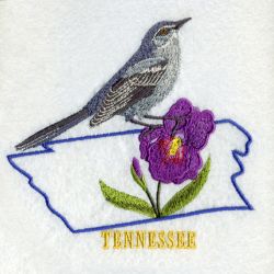 Tennessee Bird And Flower 05 machine embroidery designs