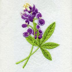 Texas Bird And Flower machine embroidery designs