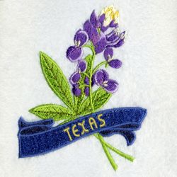 Texas Bird And Flower 07 machine embroidery designs