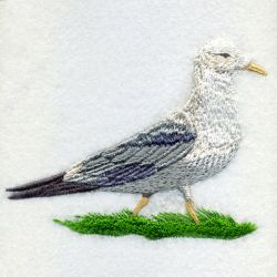 Utah Bird And Flower 02 machine embroidery designs