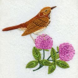 Vermont Bird And Flower 03 machine embroidery designs